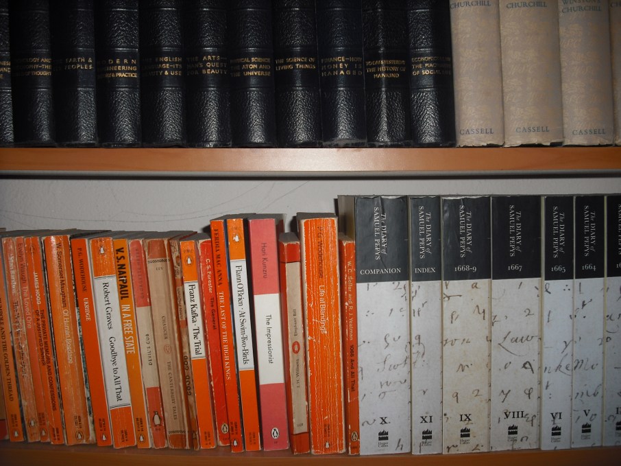 section of book shelves