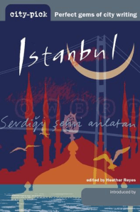 cover of Istanbul guide with cresent and minarets