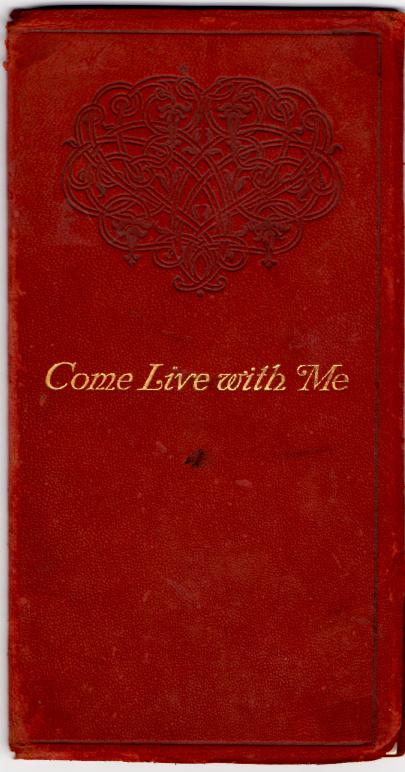 Red suede book jacket