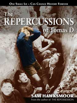 cover of The Repercussions