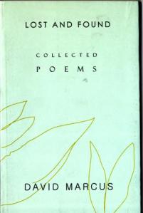 cover of Lost and Found