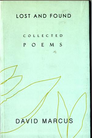 cover of Lost and Found