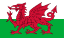 Welsh Flag