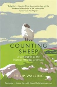 Counting Sheep