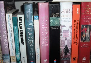 Non-Fiction titles on the book shelves.