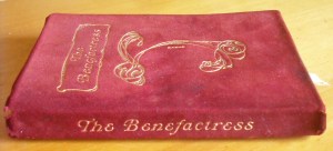 Front cover & spine showing gilded title & decoration